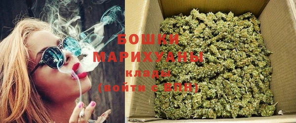метадон Алексин