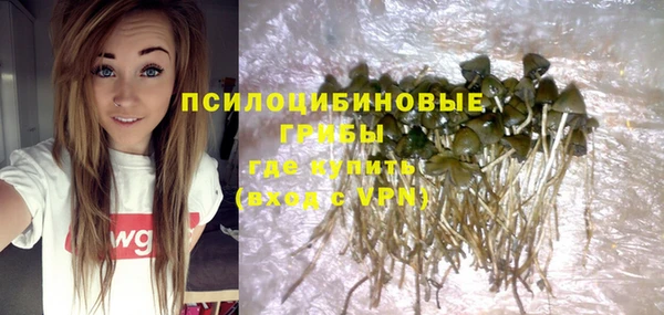шишки Алексеевка