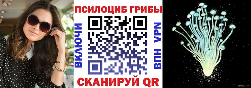 Псилоцибиновые грибы Psilocybe наркошоп Ахтубинск