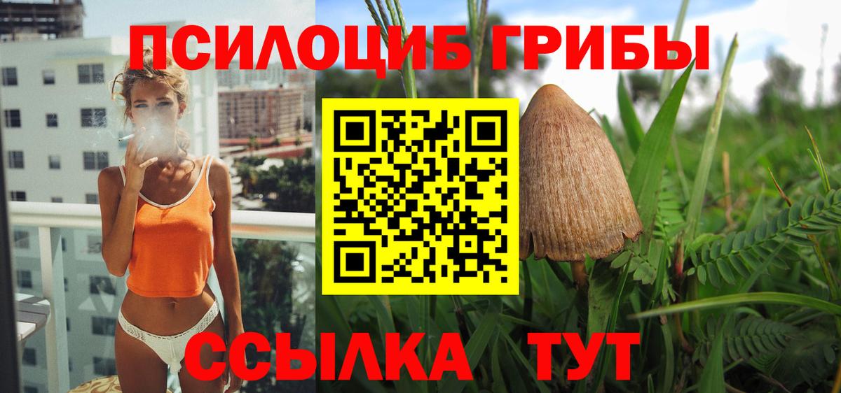 Галлюциногенные грибы мицелий Ахтубинск