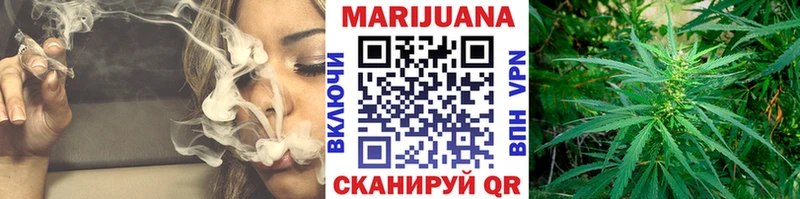Бошки Шишки семена  Ахтубинск 